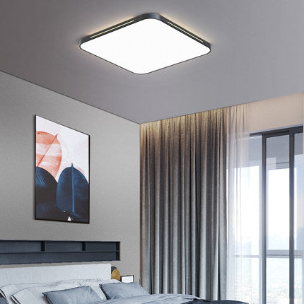 Akermane Ceiling Light