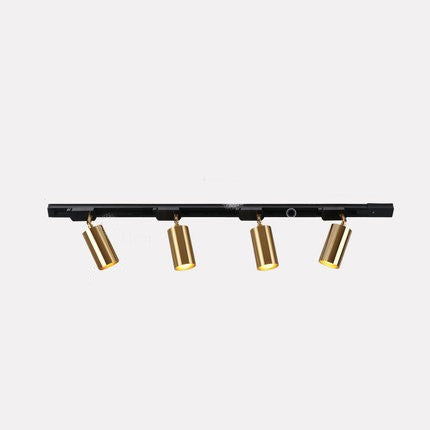 Bientrix Track Light