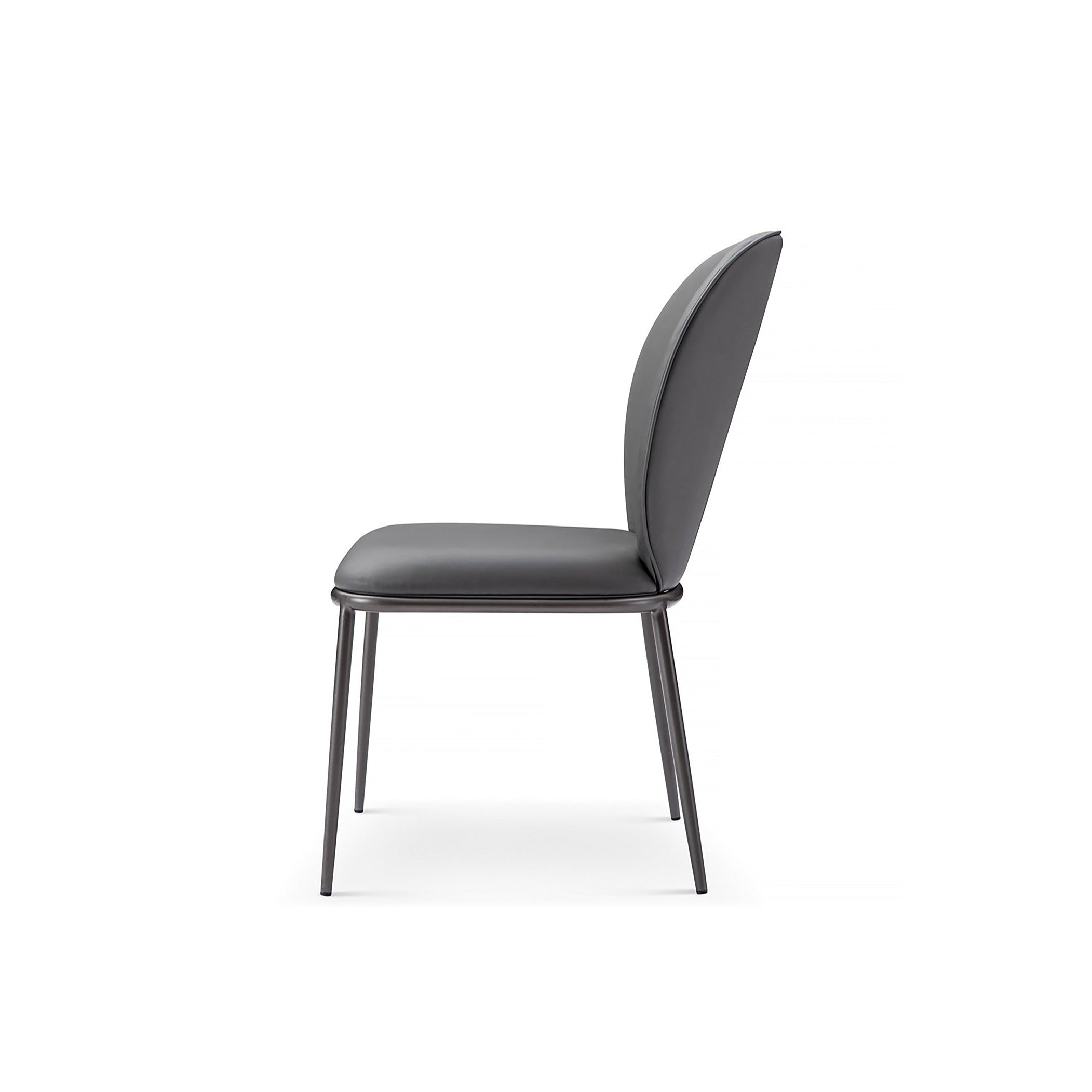 Zhakari Dining Chair